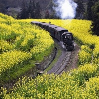 Jiayang mini steam engine train